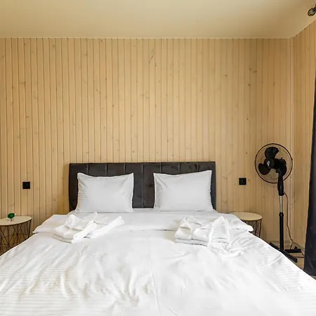 Fenix Hotell Solotvyno